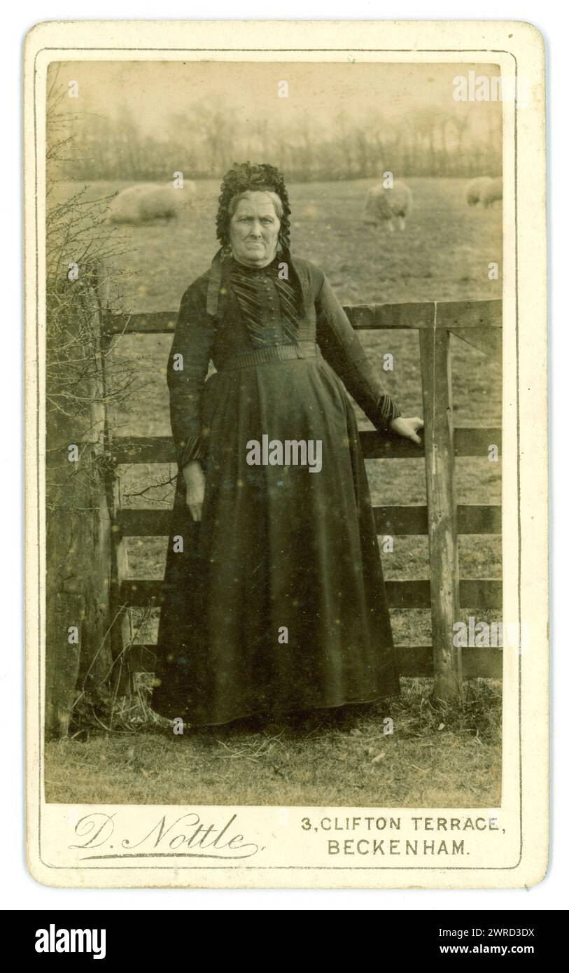 Original Victorian Carte de Visite (visiting card or CDV) older lady in black clothes and wearing a bonnet, photographed in a rural setting, by field of sheep by D. Nottle of 3 Clifton Terrace, Beckenham, Greater London (was in county of Kent) U.K. Circa 1880's Stock Photo