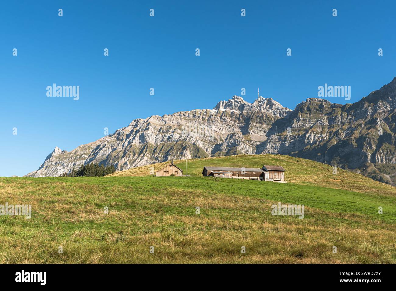 Farmhouse and meadows with view to the Saentis, Canton of Appenzell Ausserrhoden, Switzerland Stock Photo