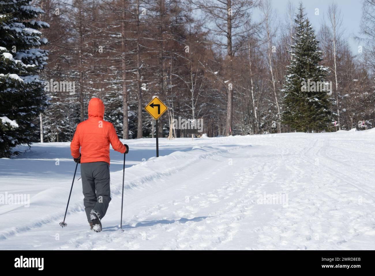 Senior man with walking poles hi-res stock photography and images - Alamy