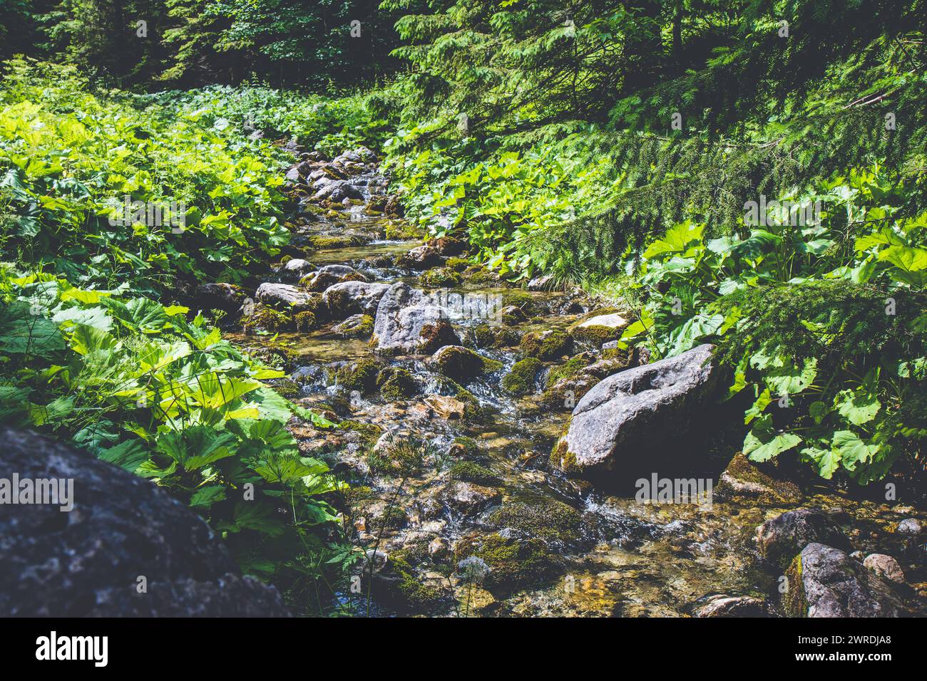 High stream flow hi-res stock photography and images - Alamy