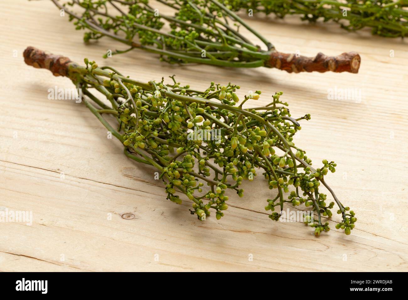 Fresh raw green twigs of Sadao flowers close up Stock Photo