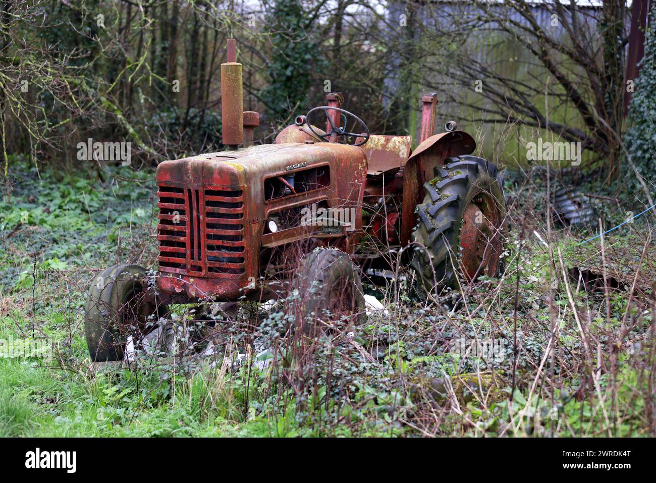 Old Tractors pictured on farmland on the Isle of Wight in Hampshire, UK ...