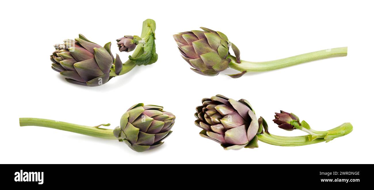 Fresh Artichokes set Isolated on White background Stock Photo