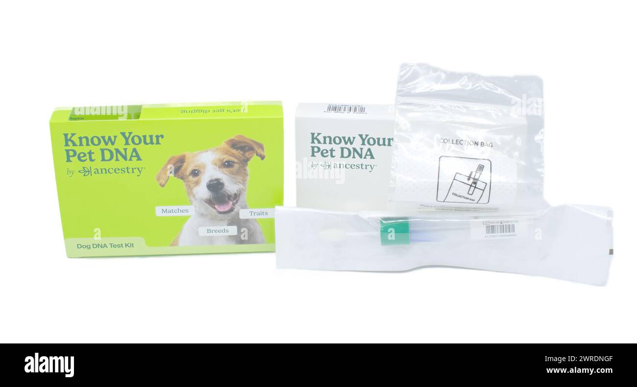 Ocala, FL 3-11-2024 Know your Pet animal dog or cat DNA by ancestry swab test kit showing green and white box with return package, collection bag and Stock Photo