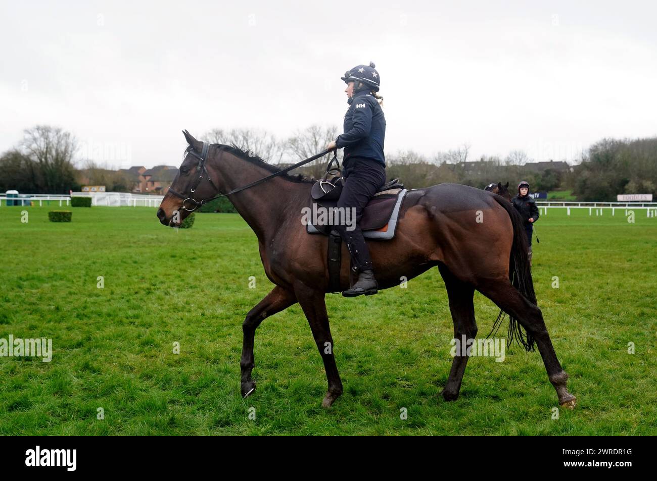 Fact To File on the gallops ahead of day one of the 2024 Cheltenham Festival at Cheltenham Racecourse. Picture date: Tuesday March 12, 2024. Stock Photo