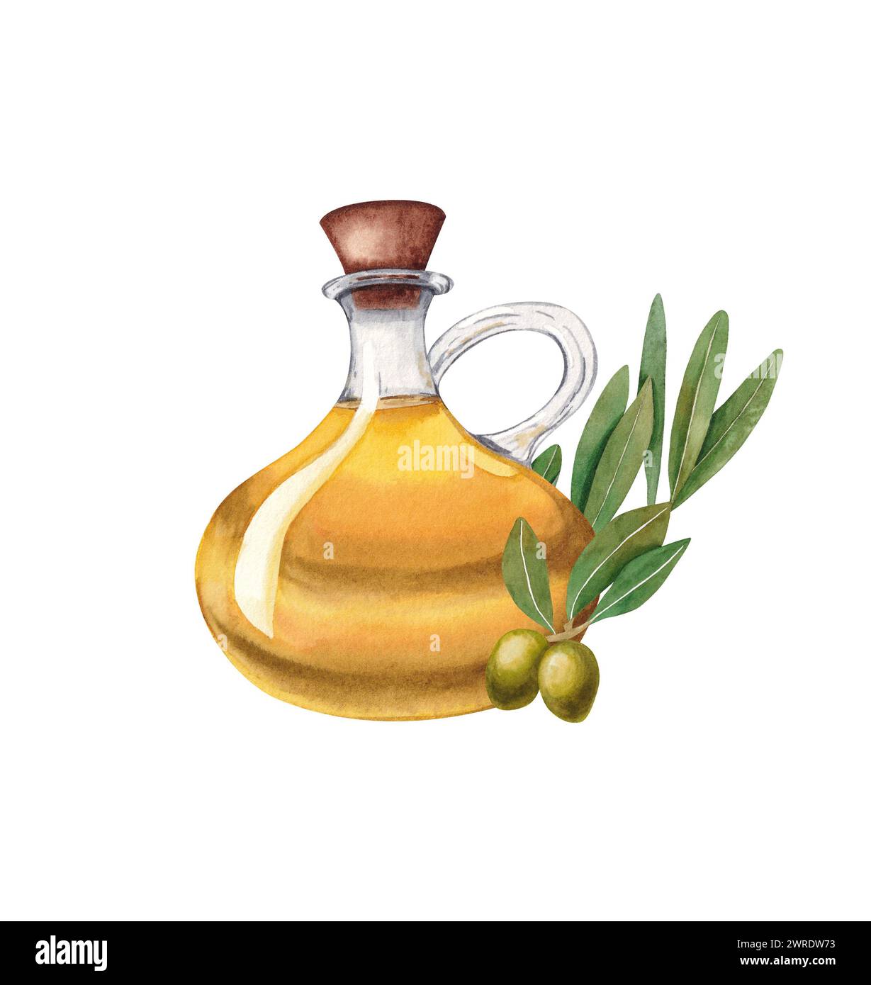 Olive oil in the glass bottle and olive branch. Hand drawn watercolor ...