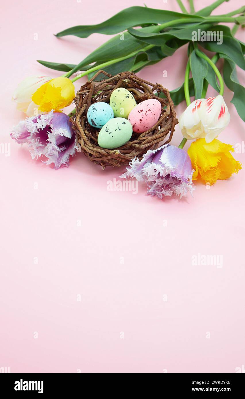 Multi-colored spotted eggs in nest with tulips on pink background. Easter. Vertical. Copy space Stock Photo