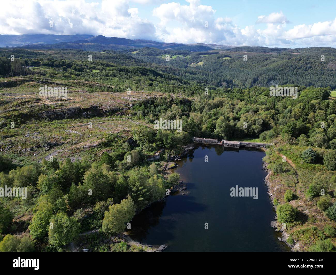 An aerial view of a lake encircled by lush green foliage Stock Photo ...