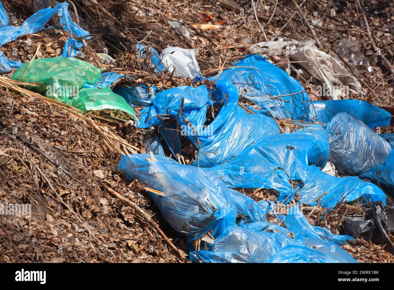 Blue torn complete garbage bags with dry leaves and other garbage lie ...