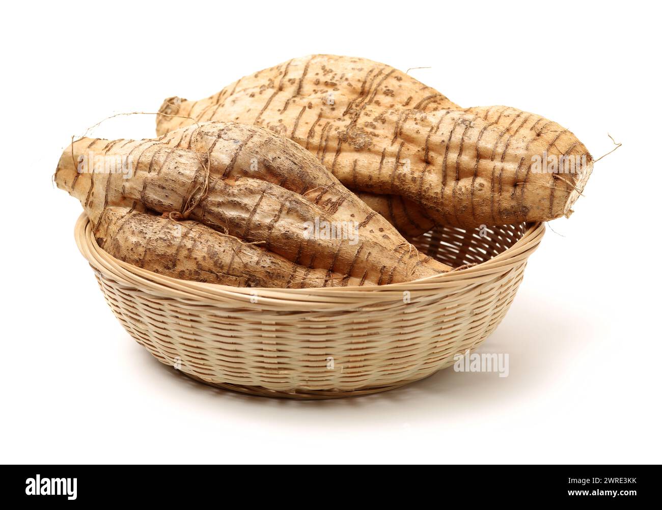 Root of kudzu vine,puerarin Isolated on a white background Stock Photo