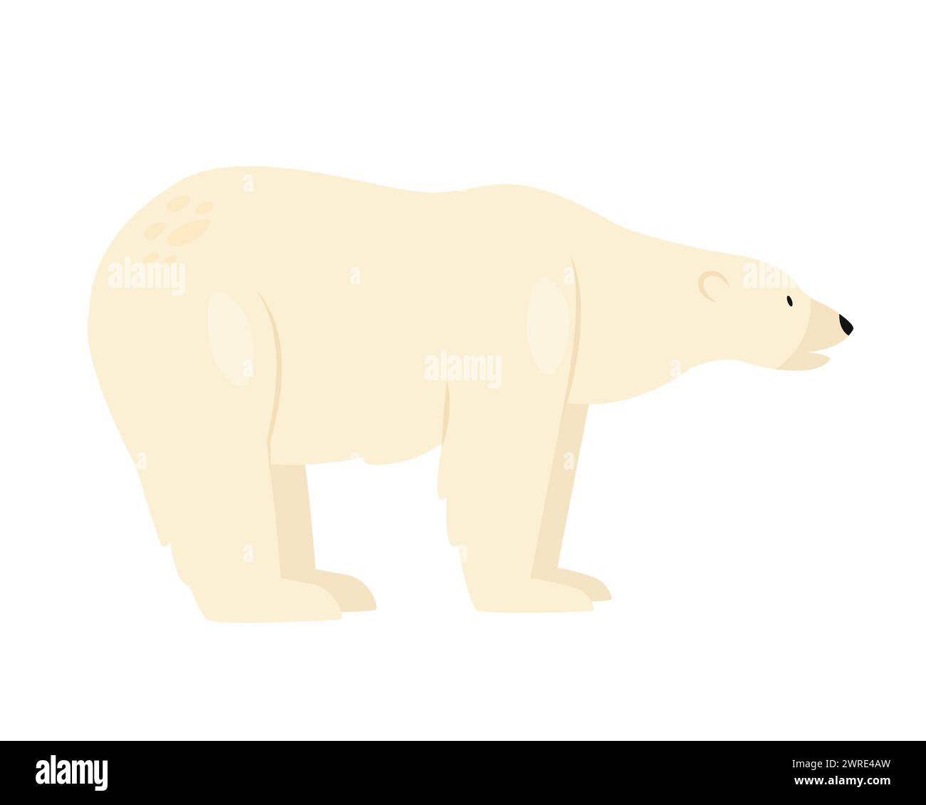 White polar bear. Arctic and antarctic animals, furry coat bear cartoon vector illustration Stock Vector