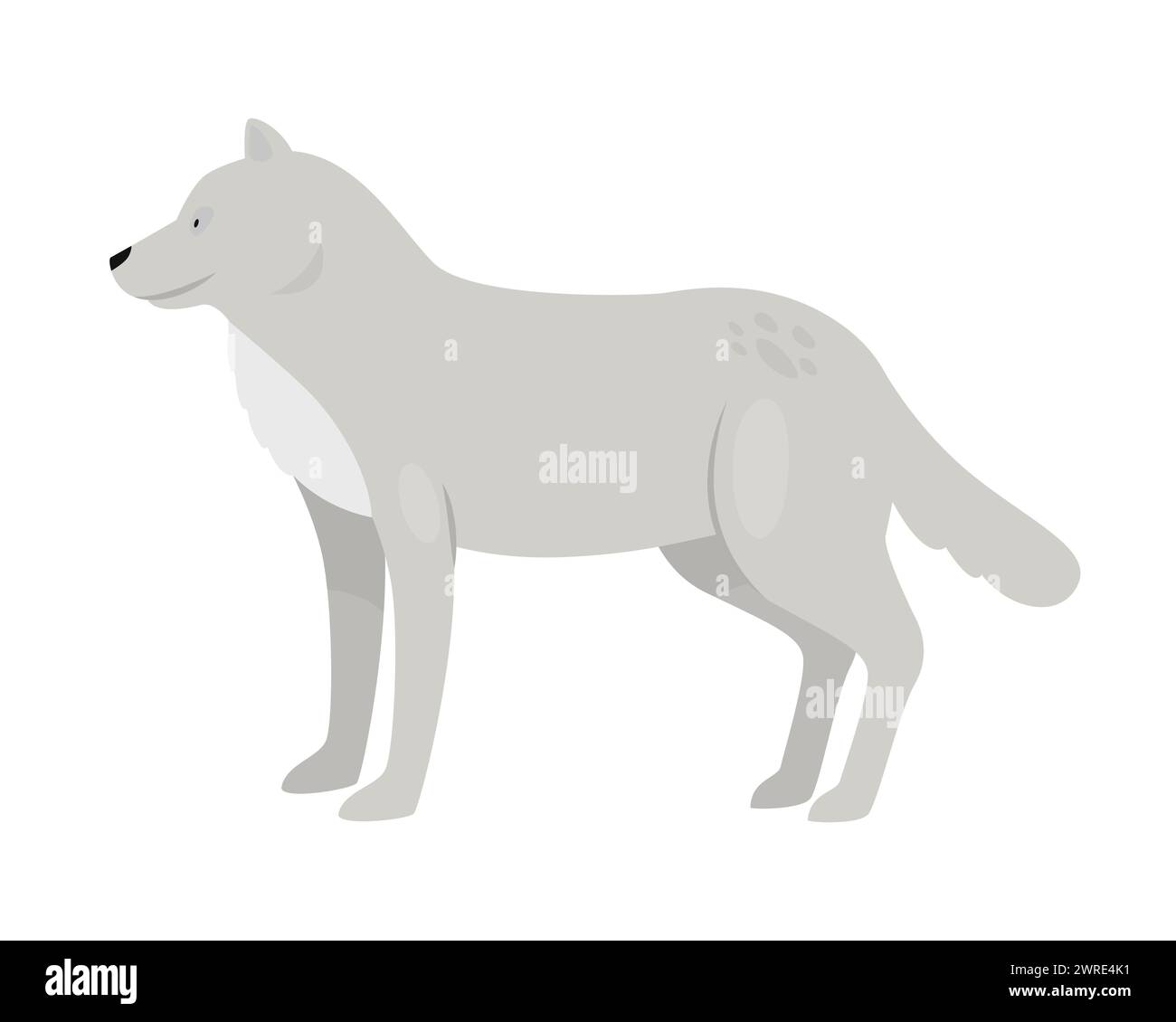 Wild polar wolf. Arctic and antarctic animals, snow fauna cartoon ...