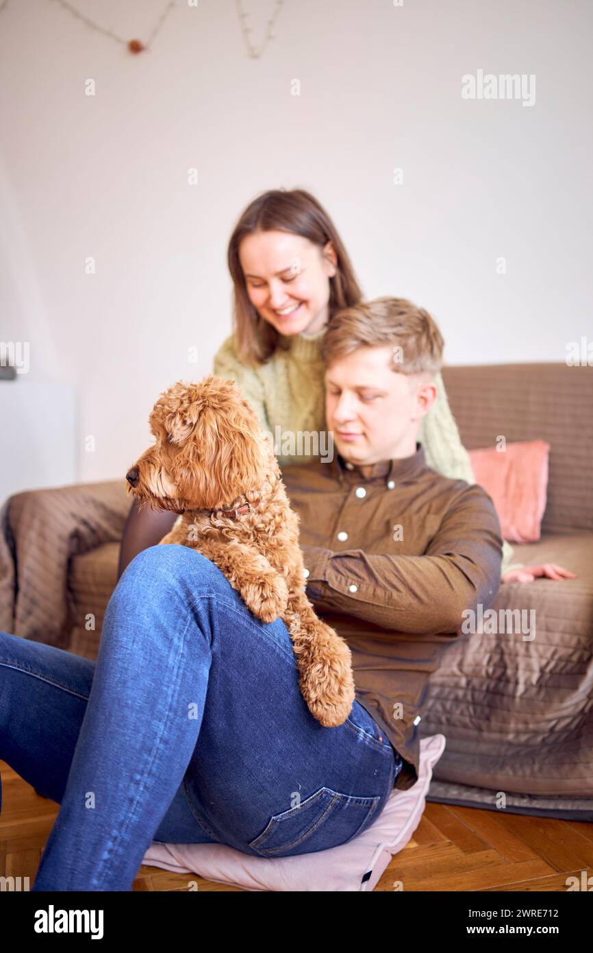 a cockapoo in the hands of parents Stock Photo - Alamy