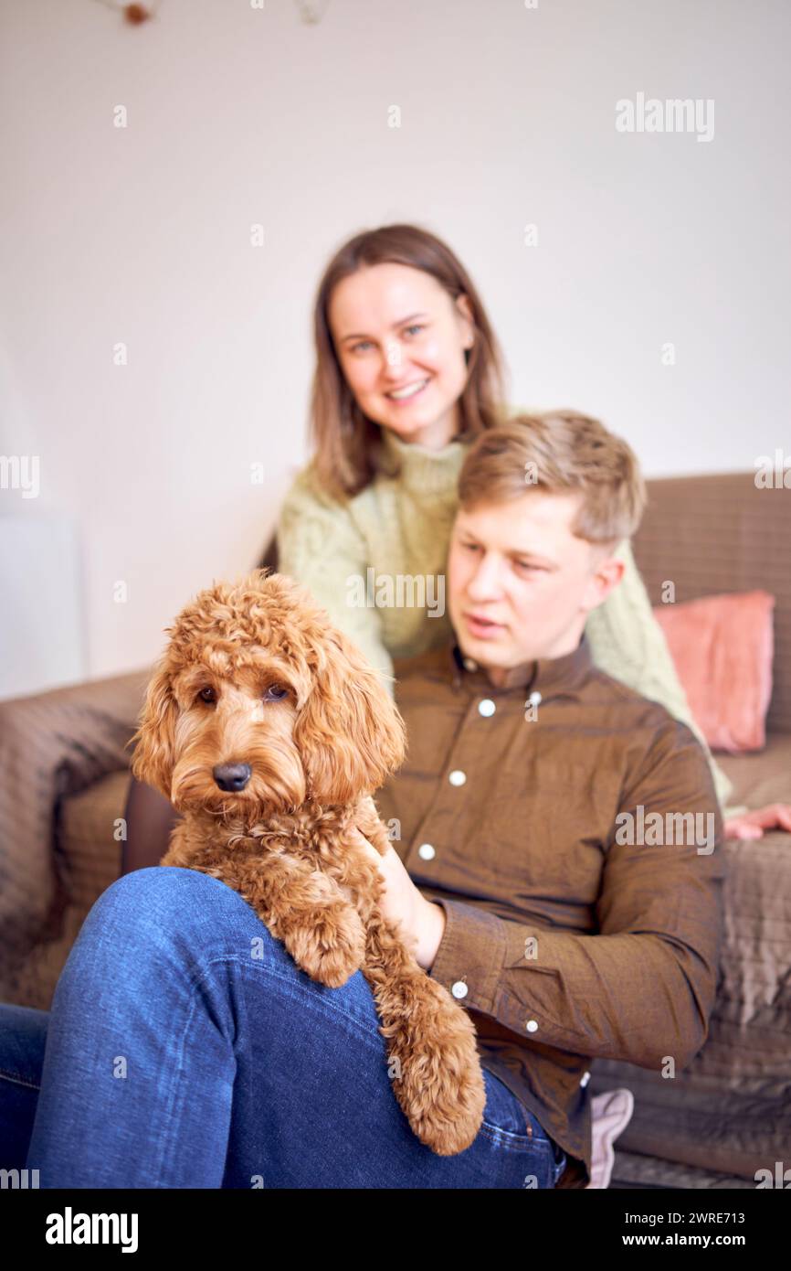 a cockapoo in the hands of parents Stock Photo - Alamy