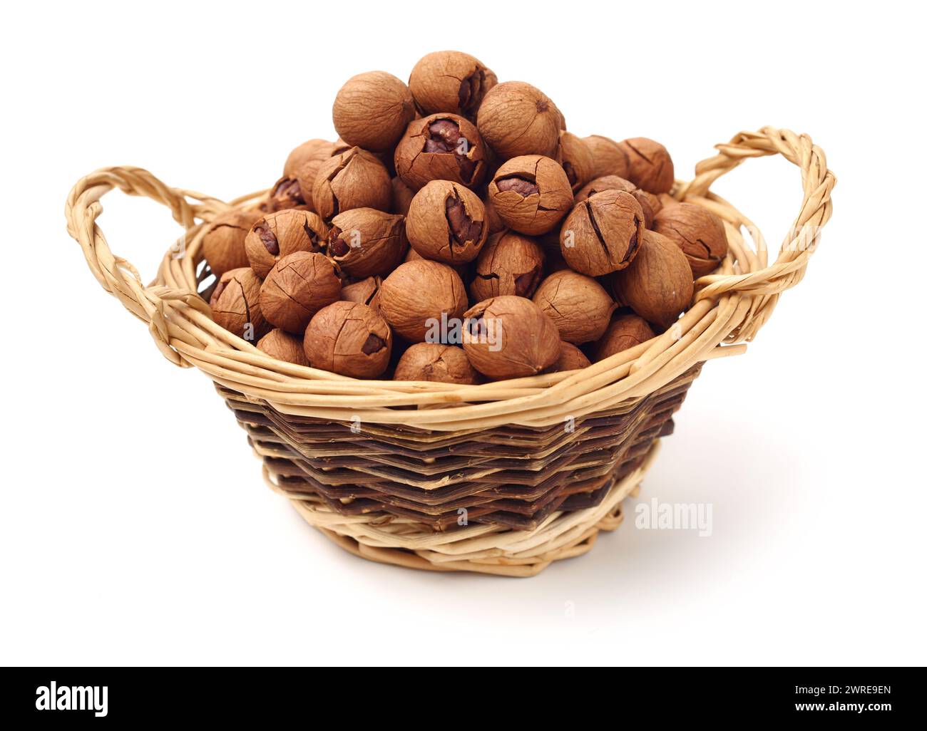 shagbark hickory nuts on white background Stock Photo