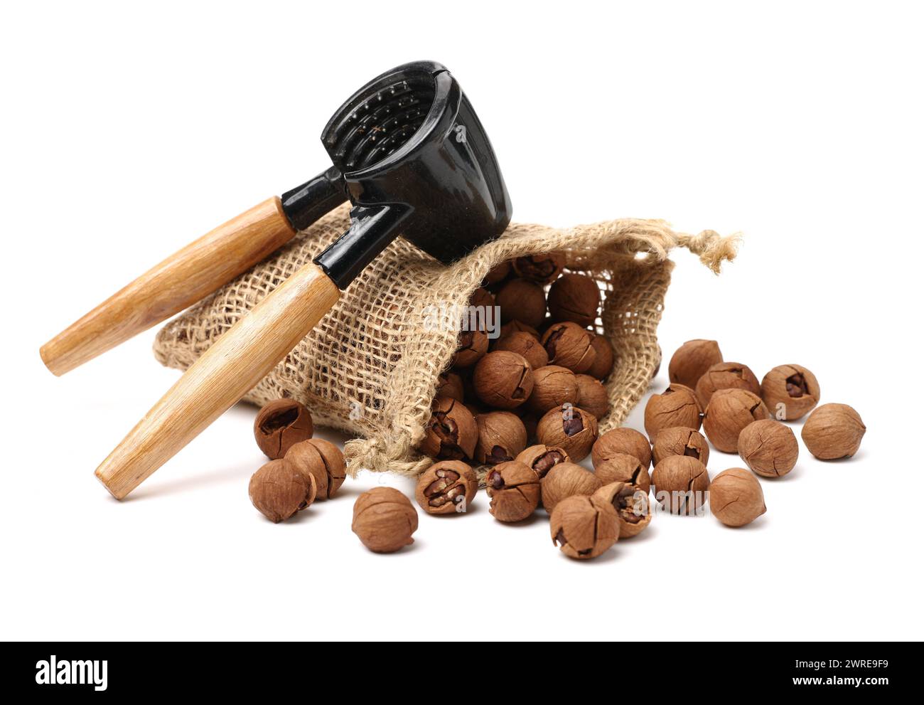 shagbark hickory nuts on white background Stock Photo