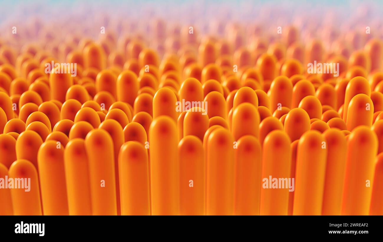 3D Animation Close-Up Intestinal Villi Stock Photo
