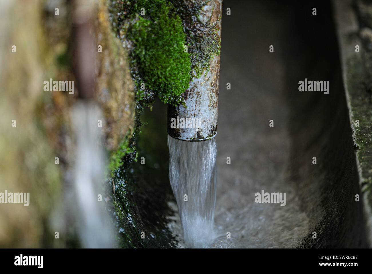picture of a spring in nature that flows a lot of water and is very strong. The spring is very old and has green moss on it. High quality photo Stock Photo
