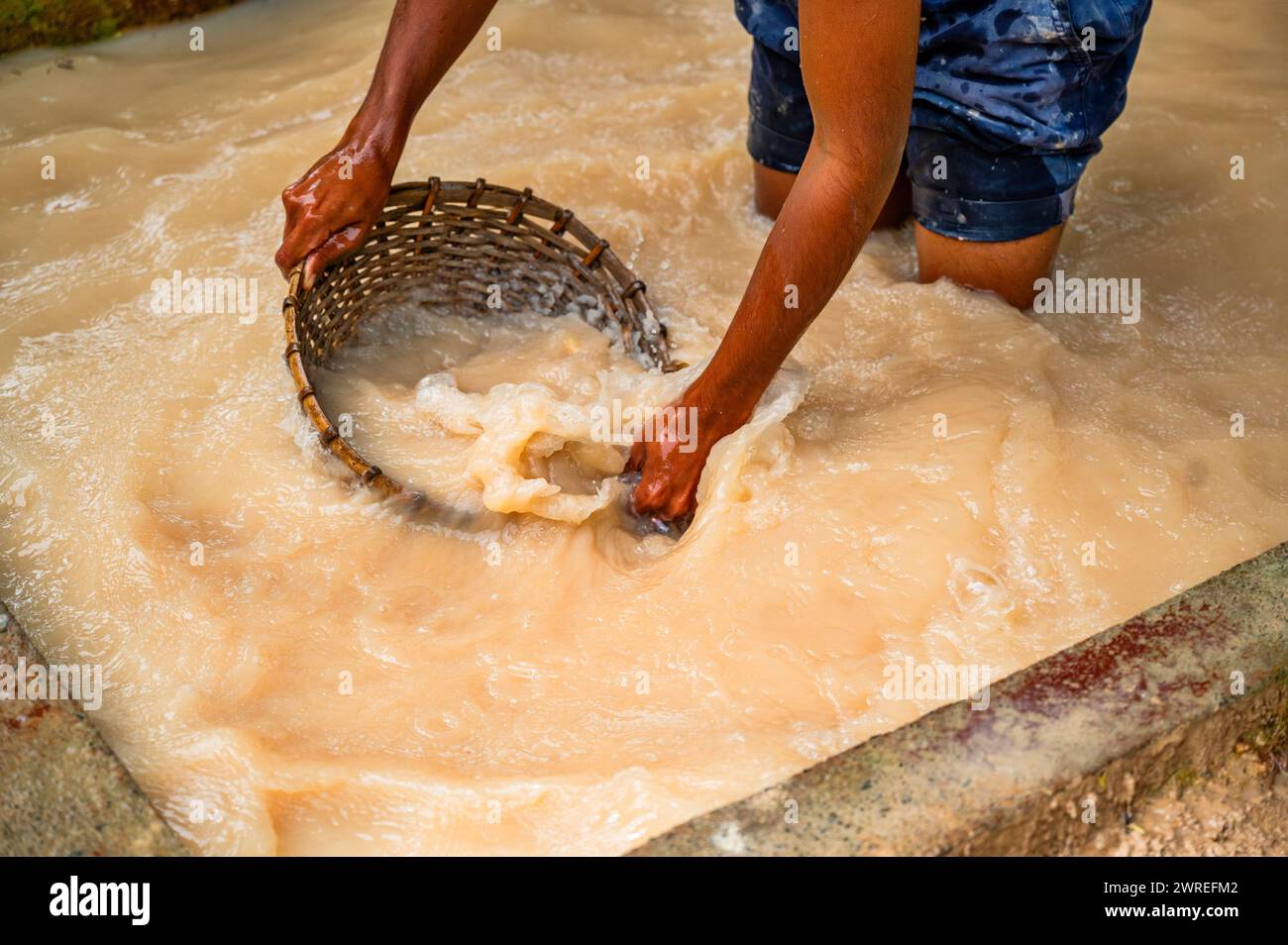 Man washes rattan pan with mined gemstones, traditional occupation in Sri lanka. Meetiyagoda mines. Stock Photo