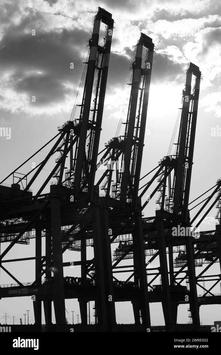 Silhouettes of harbor cranes against sky in Hamburg harbor Stock Photo ...