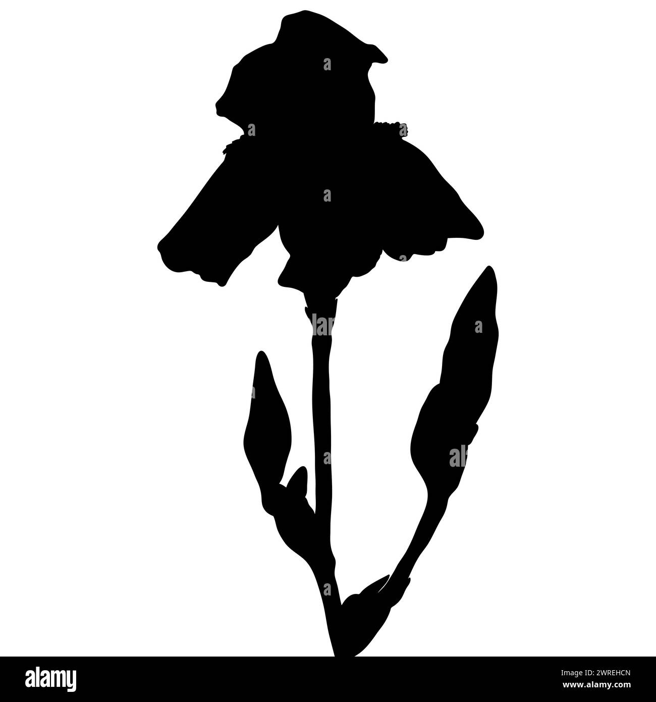 Iris flower black silhouette, botanical vector illustration isolated on white background. Stock Vector