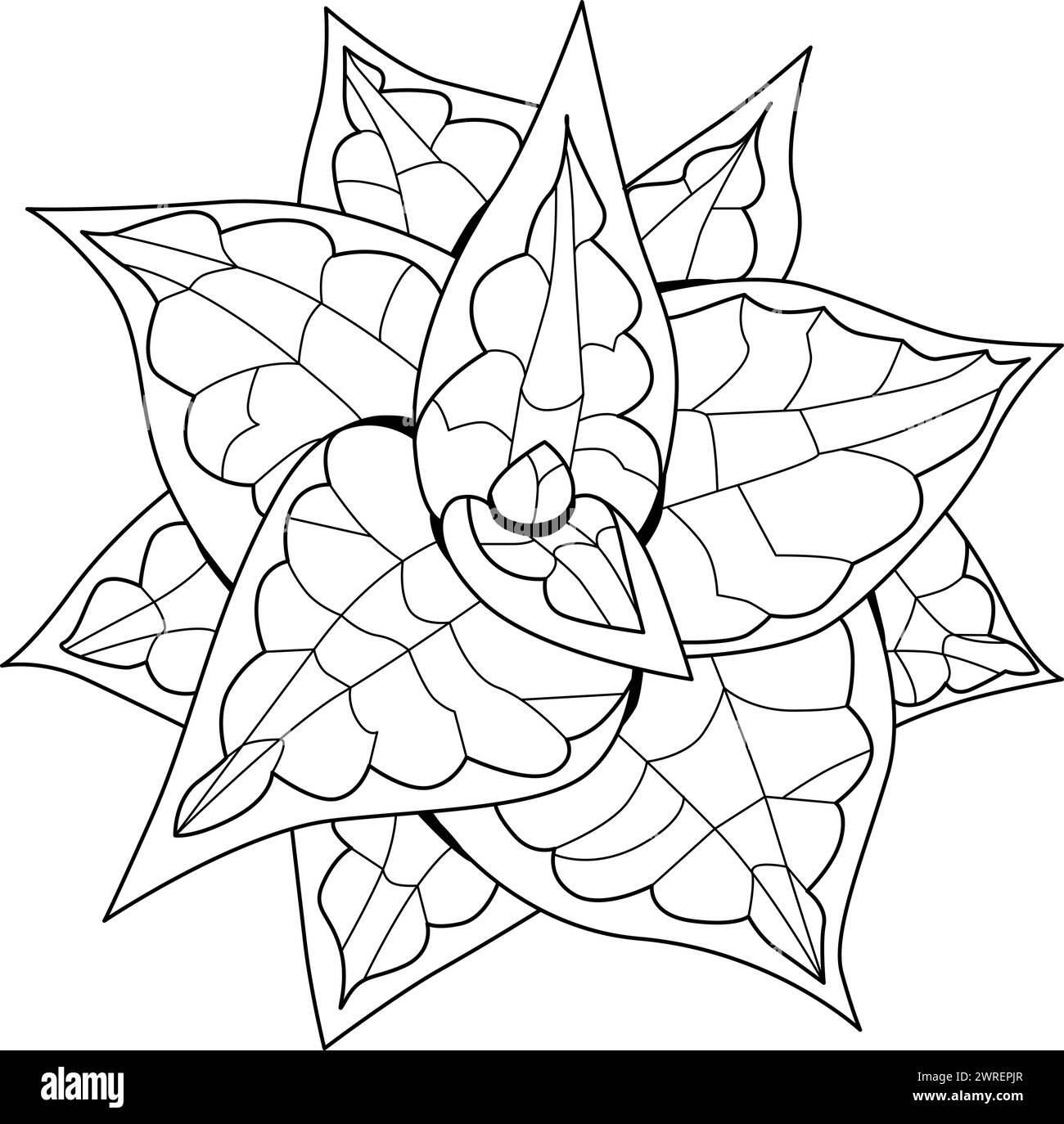 Succulents hand drawn figure desert flower. Floral garden design for ...