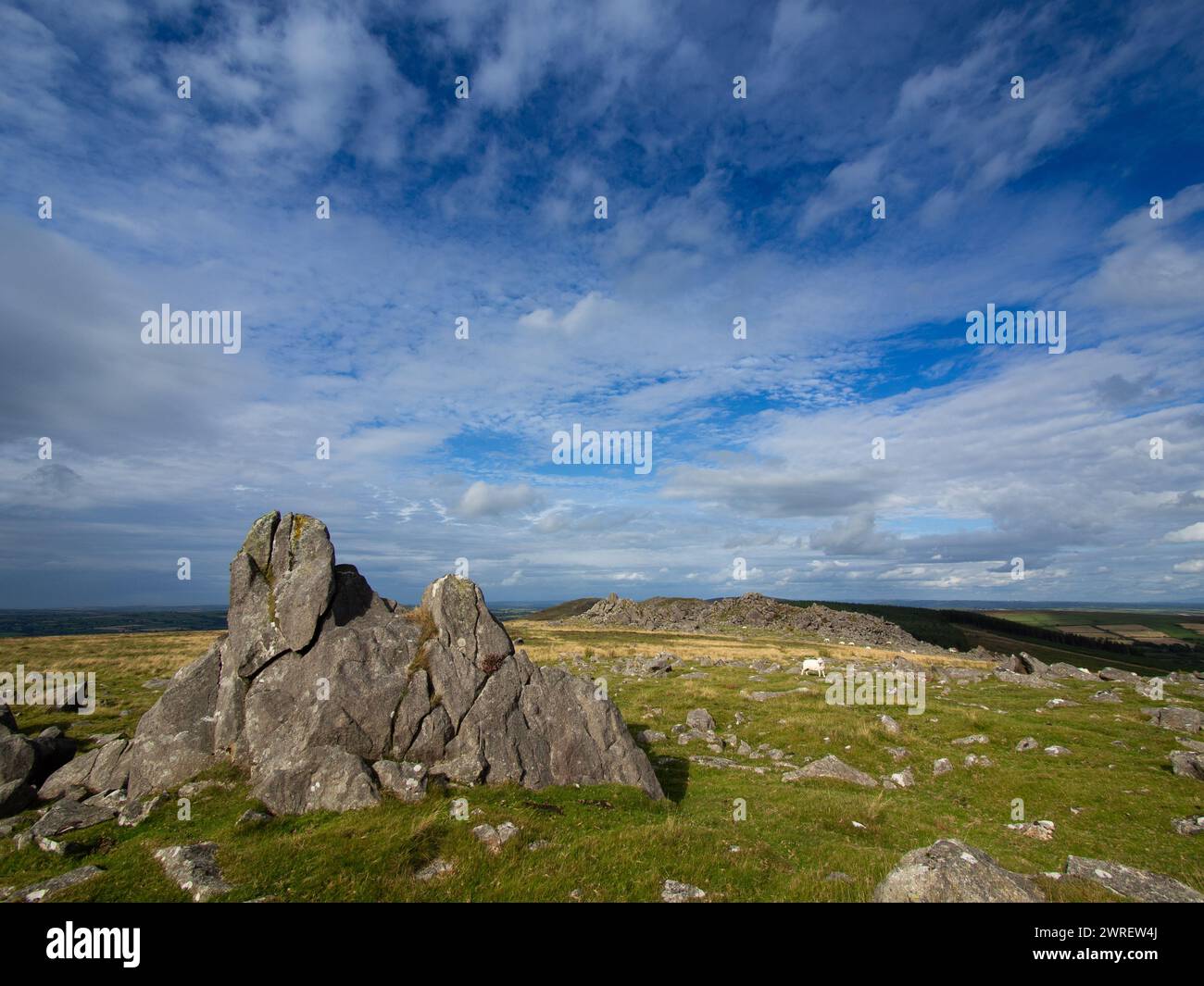 A rocky outcrop in the Preseli Hills, North Pembroke, Wales, United Kingdom.  Some of the Bluestones used at Stonehenge were transported from here. Stock Photo