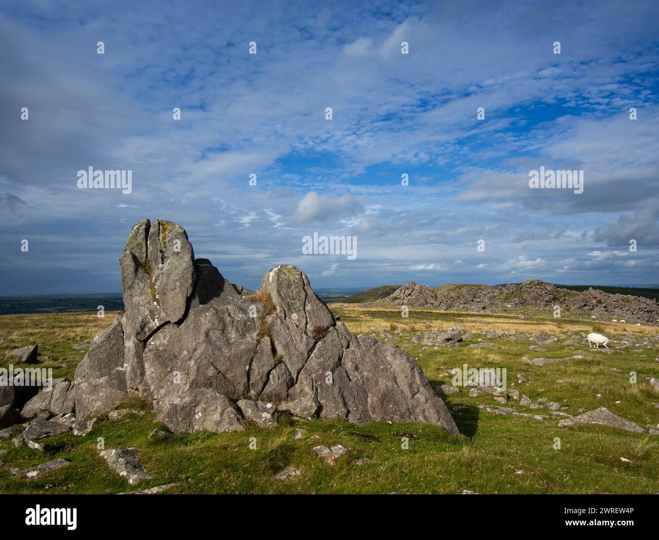 A rocky outcrop in the Preseli Hills, North Pembroke, Wales, United Kingdom.  Some of the Bluestones used at Stonehenge were transported from here. Stock Photo