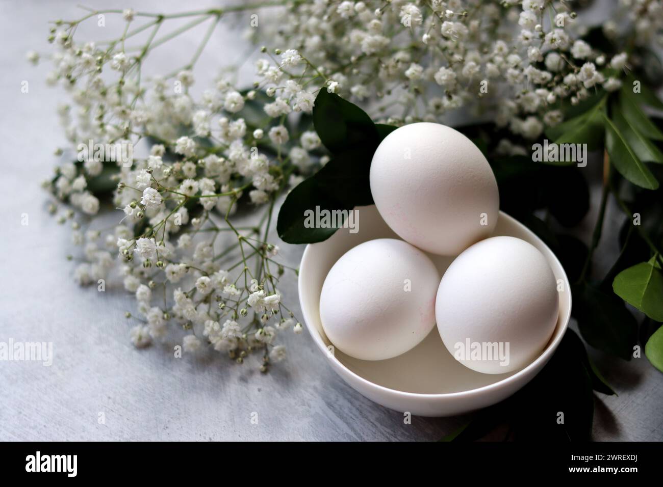Simple composition still life with eggs and white flowers. Easter celebration concept. Eggs in a white ceramic bowl top view photo. Stock Photo