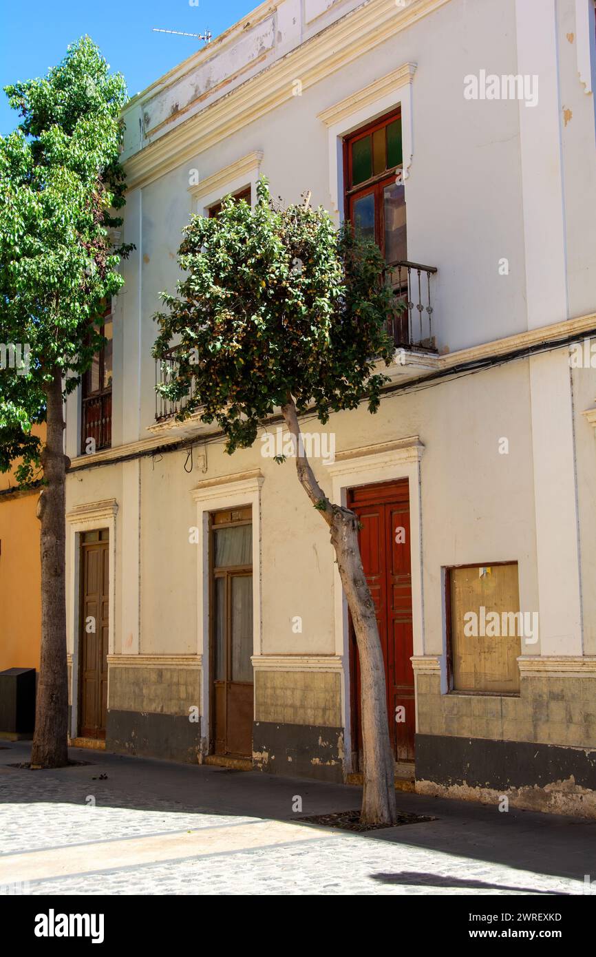 Old house with balcony and a tree in Spain on the Canary Island of Gran Canaria Stock Photo