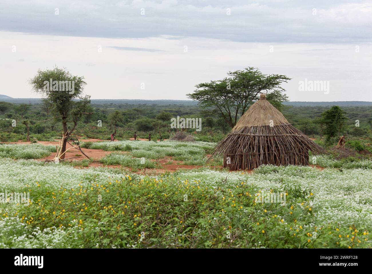 Houses of people from a tribe Hamer in Omo Rift Valley, Ethiopia. Stock Photo
