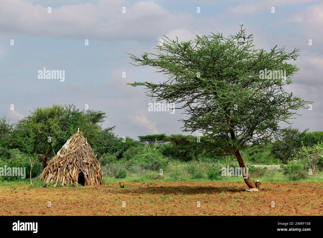 Houses of people from a tribe Hamer in Omo Rift Valley, Ethiopia. Stock Photo