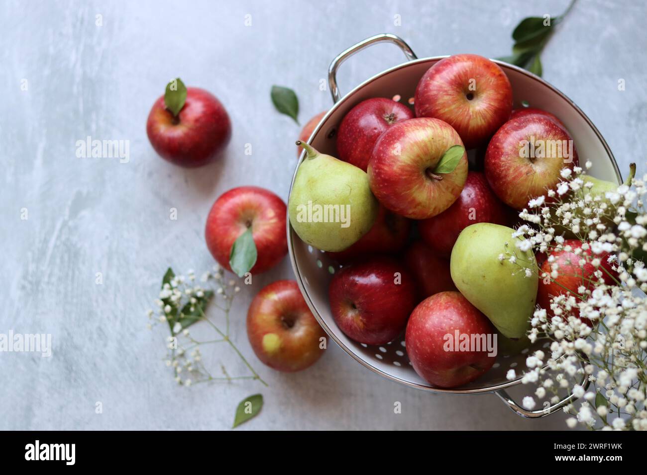 Shiny red apples in white colander. Close up photo of organic fruit on ...
