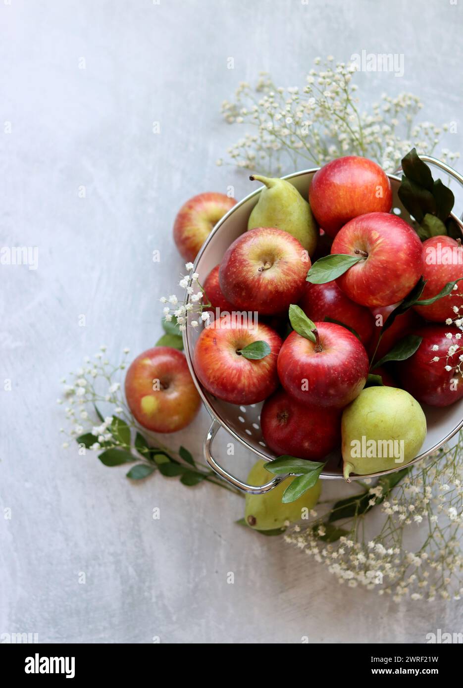Shiny red apples in white colander. Close up photo of organic fruit on ...