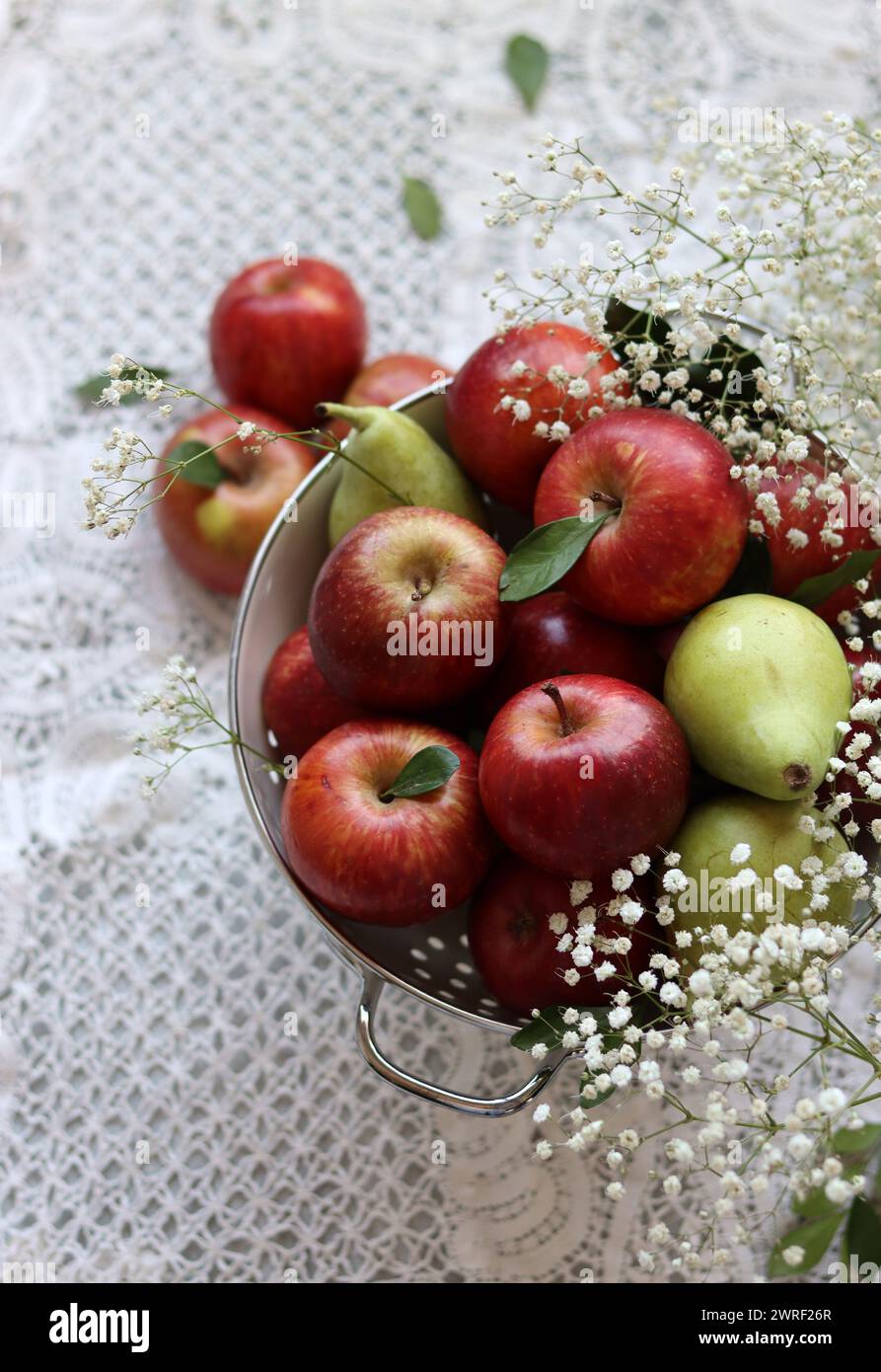 Shiny red apples in white colander. Close up photo of organic fruit on ...