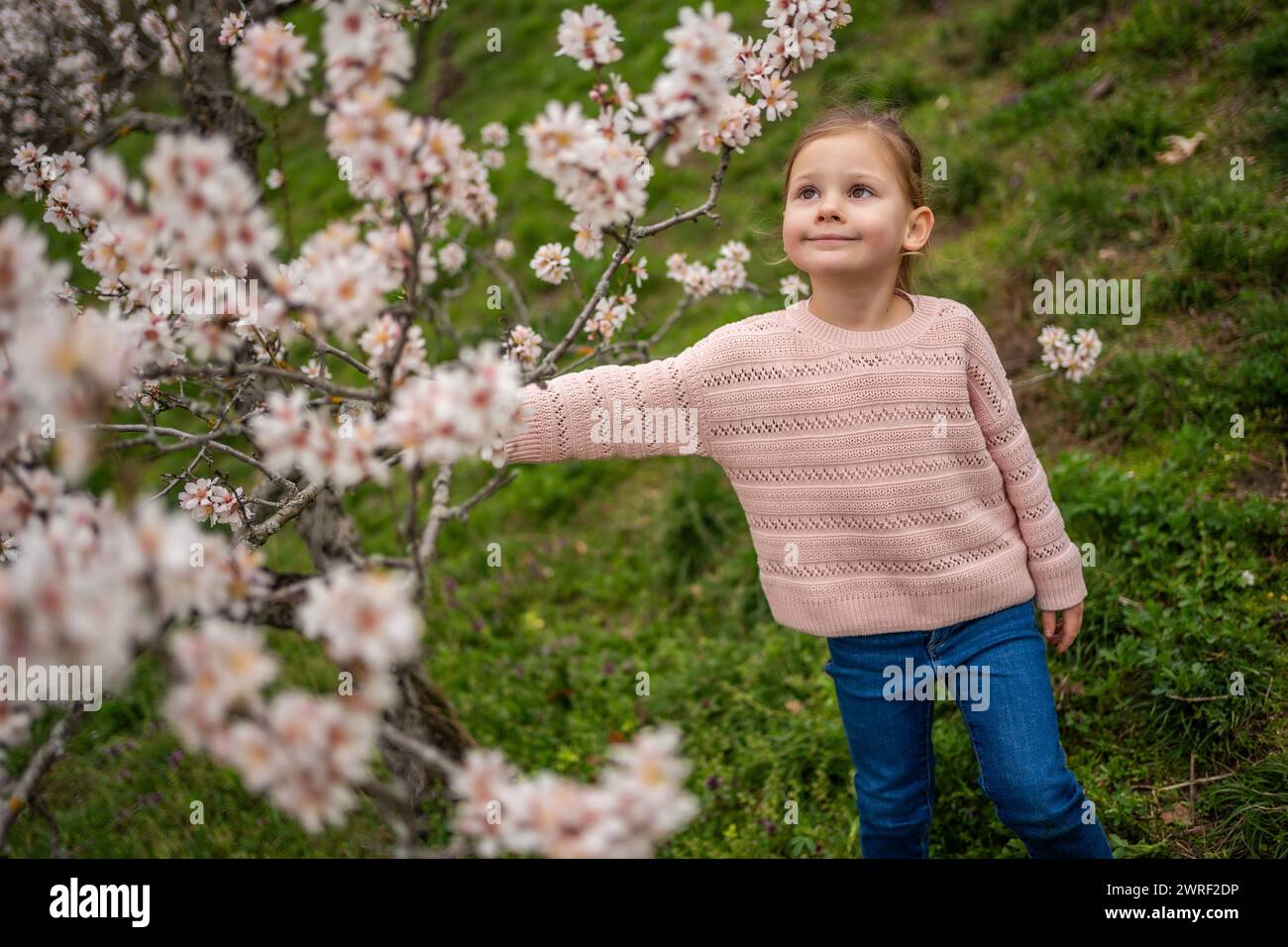 Lovely little girl in a blooming pink and white garden Petrin in Prague ...