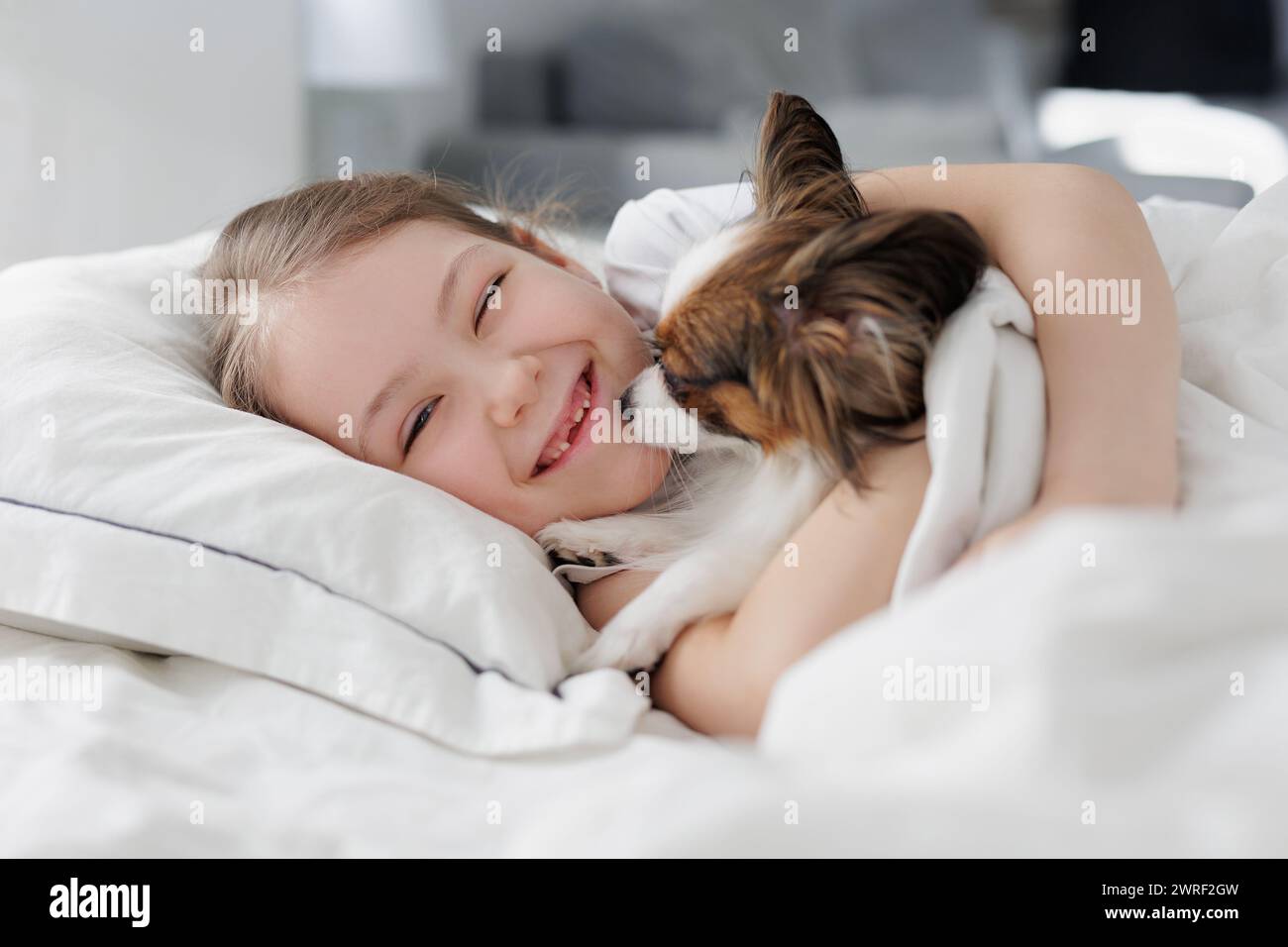 happy little girl lying in bed with her cute papillon dog Stock Photo ...