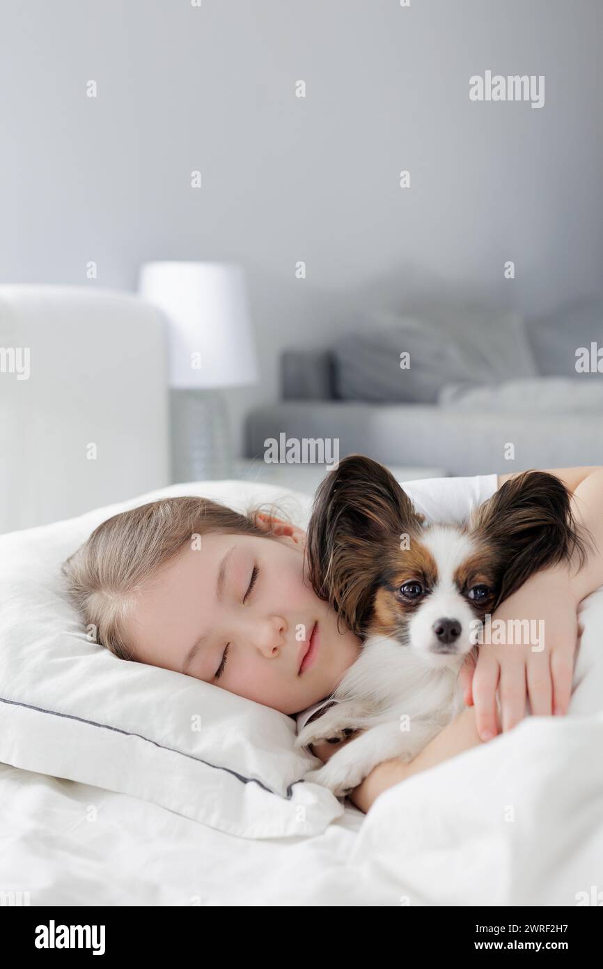 portrait of little girl sleeping with her cute papillon dog Stock Photo ...