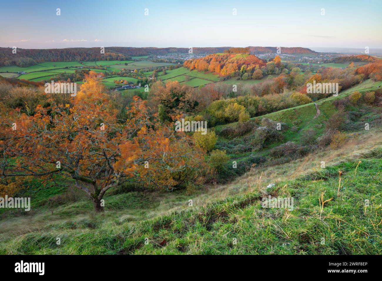 View to Dursley and Downham Hill from Uley Bury Hillfort at sunrise in autumn, Dursley, Cotswolds, Gloucestershire, England, United Kingdom, Europe Stock Photo