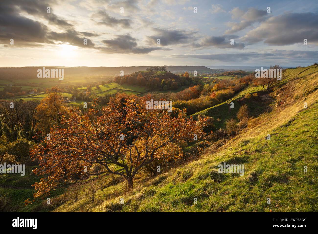 View to Dursley and Downham Hill from Uley Bury Hillfort at sunset in autumn, Dursley, Cotswolds, Gloucestershire, England, United Kingdom, Europe Stock Photo