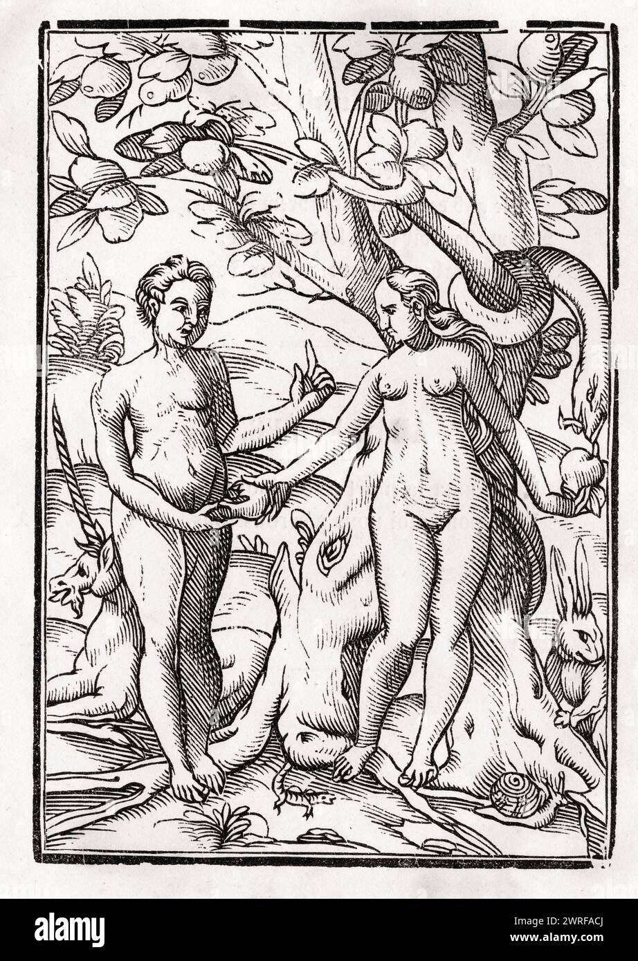 Adam und Eva im Garten Eden Aus Der Todten Tanz oder The Dance of Death erschienen in Basel 1843  /  Adam and Eve in the Garden of Eden From Der Todten Tanz or The Dance of Death published Basel 1843, Historisch, digital restaurierte Reproduktion von einer Vorlage aus dem 19. Jahrhundert, Record date not stated, Stock Photo