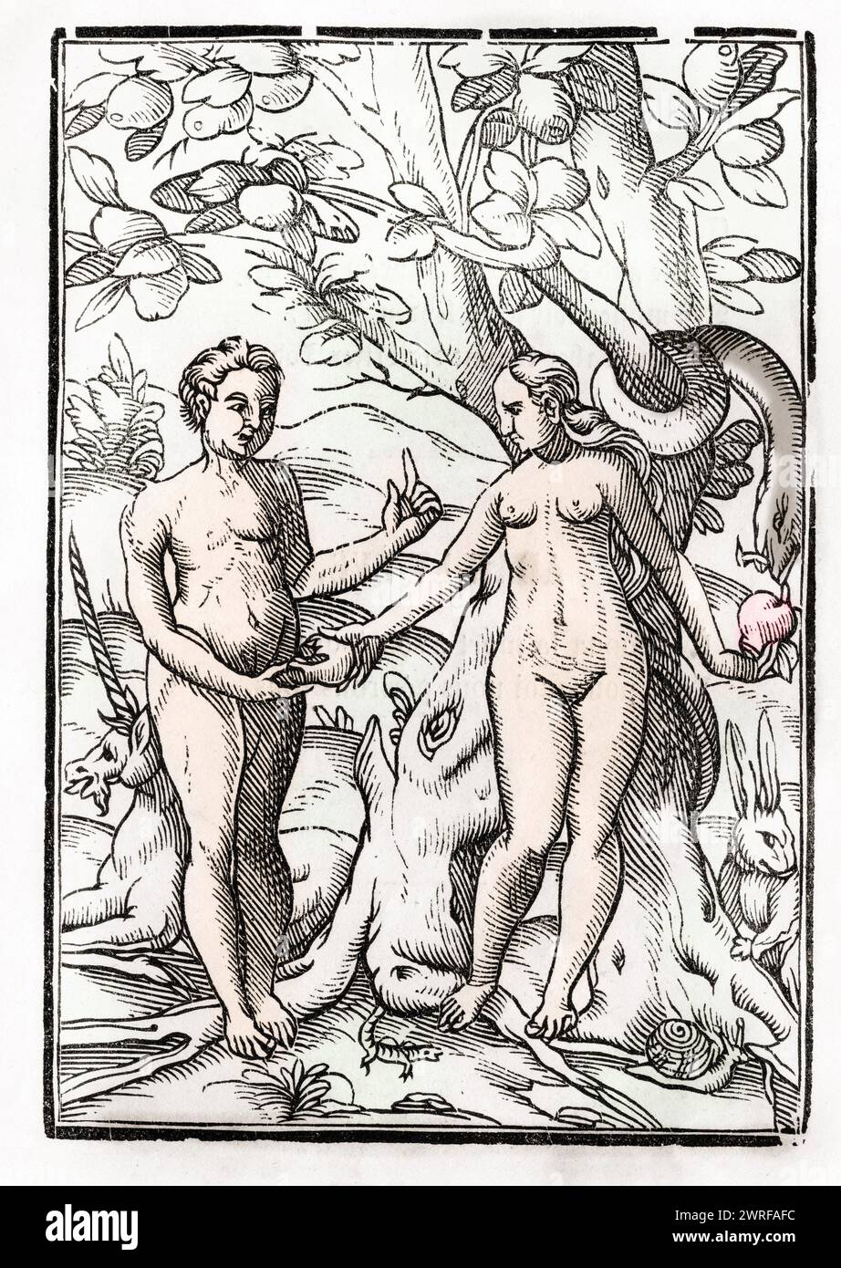 Adam und Eva im Garten Eden Aus Der Todten Tanz oder The Dance of Death erschienen in Basel 1843  /  Adam and Eve in the Garden of Eden From Der Todten Tanz or The Dance of Death published Basel 1843, Historisch, digital restaurierte Reproduktion von einer Vorlage aus dem 19. Jahrhundert, Record date not stated, Stock Photo