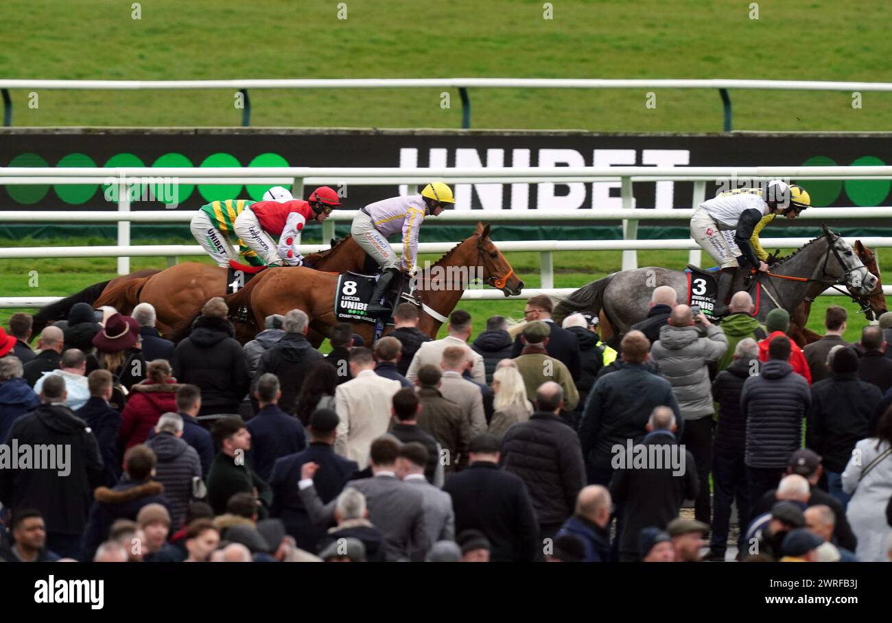 Runners and riders during the Unibet Champion Hurdle Challenge Trophy