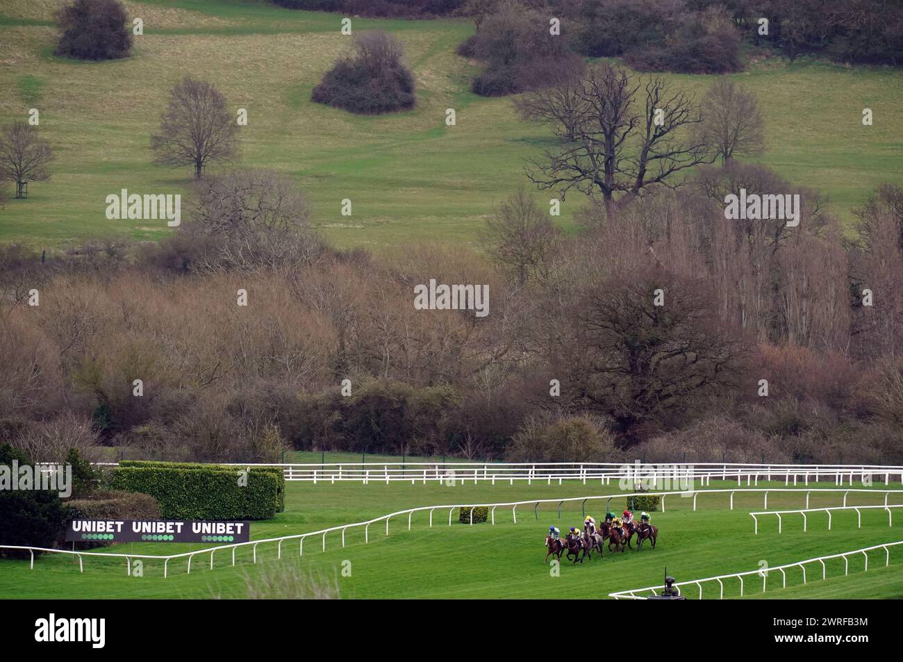 Runners and riders during the Unibet Champion Hurdle Challenge Trophy