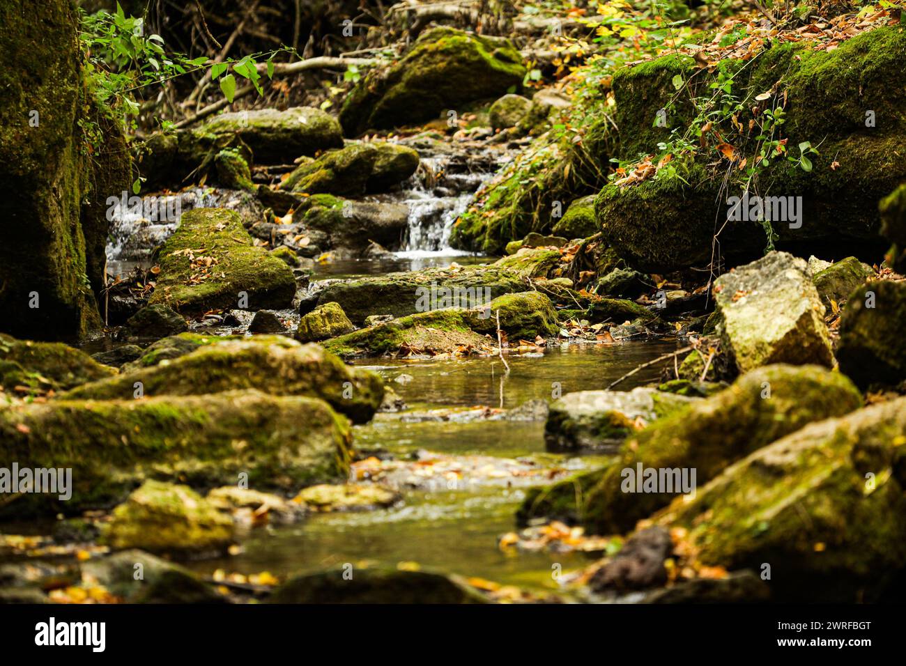 Cascading down a small mountain stream, the water runs over basalt boulders. A small waterfall runs through the moss. High quality photo Stock Photo