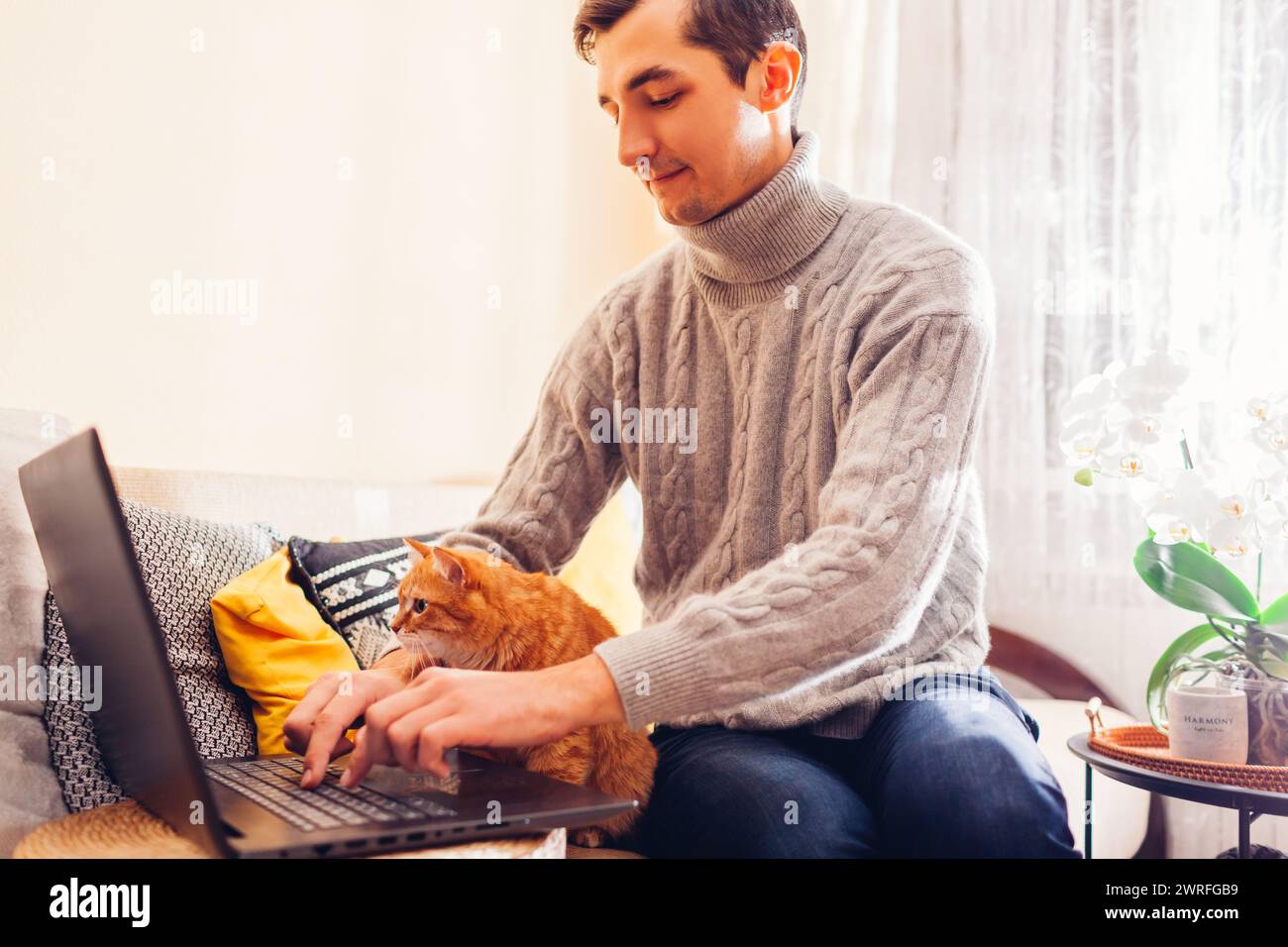 Working online from home with pet using computer man freelancer typing