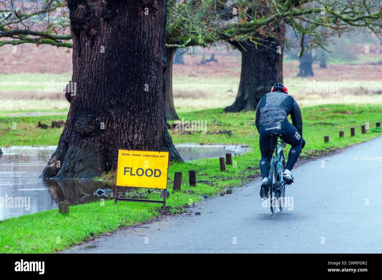 London, UK. 12th Mar, 2024. Heavy rain causes floods in Richmond park