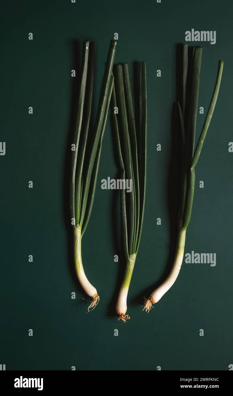 three freshly picked onions on green background. Stock Photo