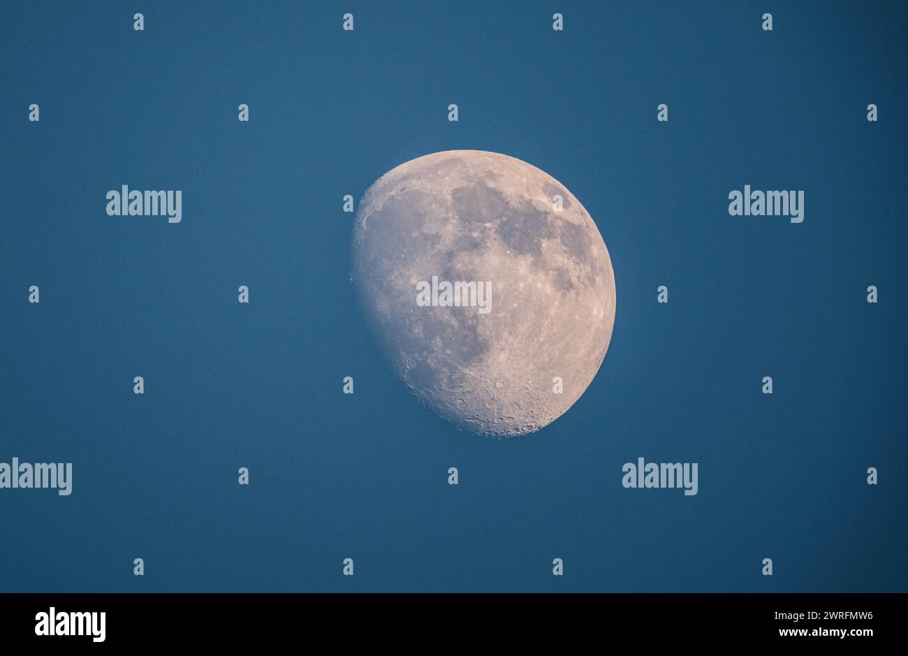 Clear view of the moon's surface during the waxing gibbous phase against a twilight sky Stock Photo