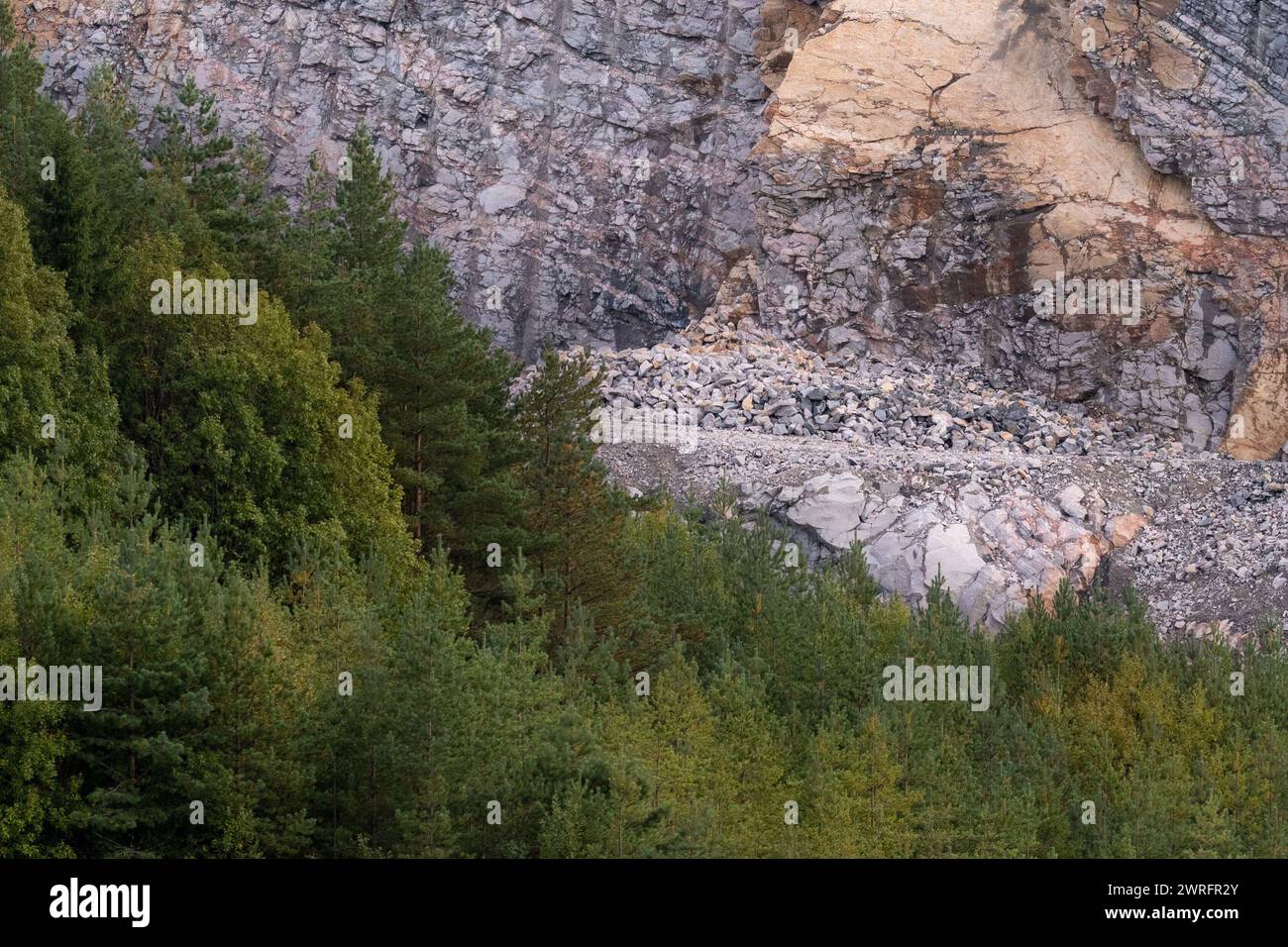 Landscape with forest an rock cliff face in quarry Stock Photo